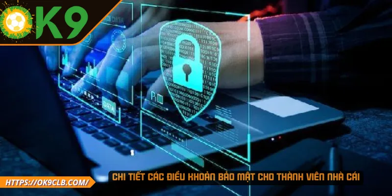 Chi tiết các điều khoản bảo mật cho thành viên nhà cái