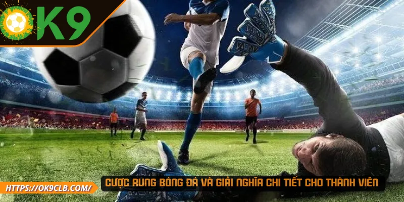 Cược rung bóng đá và giải nghĩa chi tiết cho thành viên 