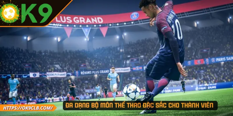 Đa dạng bộ môn thể thao đặc sắc cho thành viên