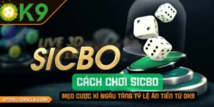 Cách Chơi Sicbo – Mẹo Cược Xí Ngầu Tăng Tỷ Lệ Ăn Tiền Từ OK9