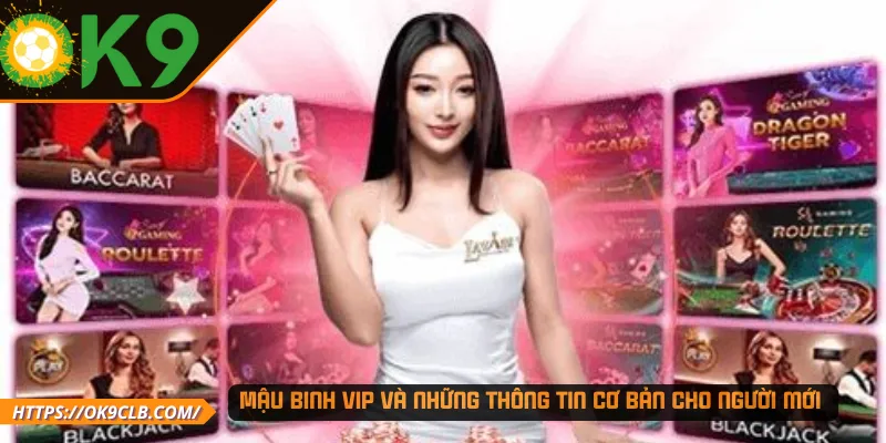 Mậu binh VIP và những thông tin cơ bản cho người mới 