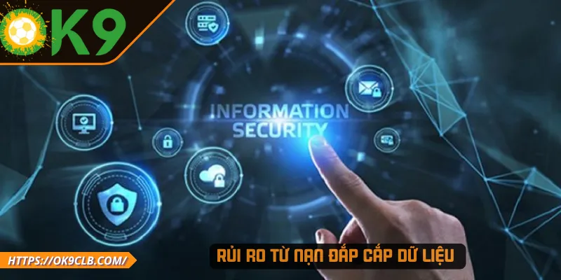 Rủi ro từ nạn đắp cắp dữ liệu 