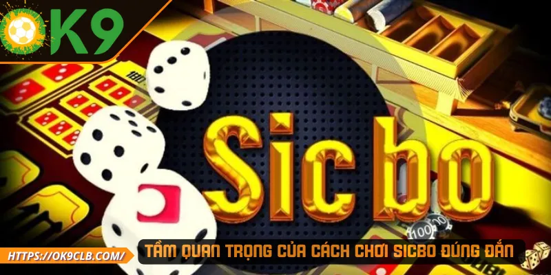 Tầm quan trọng của cách chơi Sicbo đúng đắn 