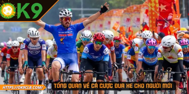 Tổng quan về cá cược đua xe cho người mới 