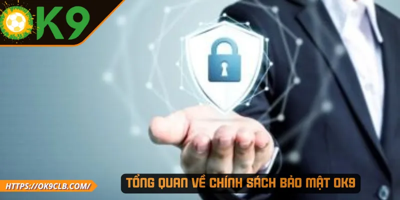 Tổng quan về chính sách bảo mật OK9