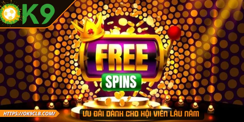 Ưu đãi dành cho hội viên lâu năm 