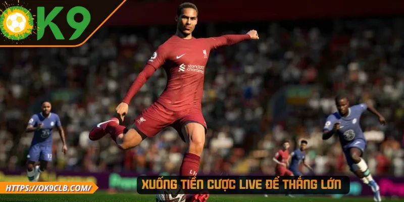 Xuống tiền cược Live để thắng lớn 